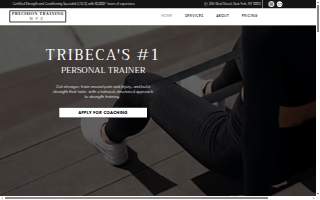 Precision Training NYC website