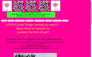Palmetto Dance Center of Elgin website