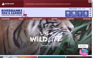 Waterfall Junction website