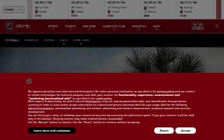 Williams-Brice Stadium website