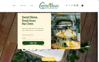 Carrie Vine's Homemade Treats website