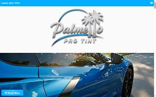 Palmetto Pro Tint website