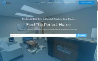 Vizo Realty website