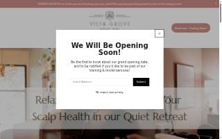 Vista Grove Head Spa website