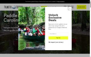 Palmetto Outdoor website