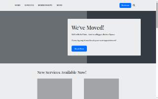 Kodiak Auto Detailing, LLC website