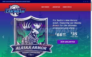 Pink Elephant Car Wash website
