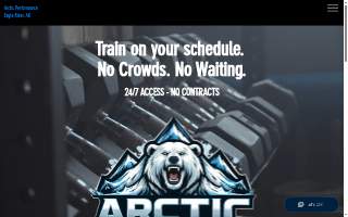 Arctic Performance of Ambler website