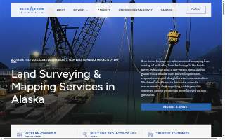 Blue Arrow Surveys, LLC of Anderson website