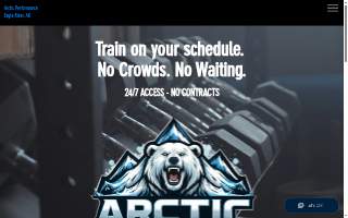 Arctic Performance of Arctic Village website