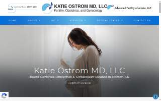 Katie Ostrom MD of Arctic Village website