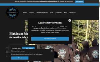 Platinum Mechanical website