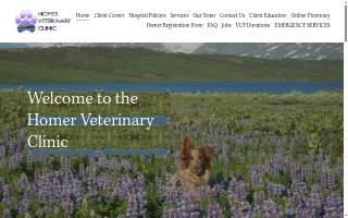 Homer Veterinary Clinic of Central website