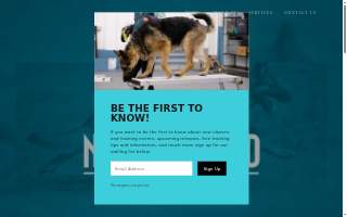Nose to the Grind website