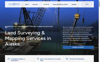 Blue Arrow Surveys, LLC website