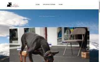 Alaska Dog Sports LLC website