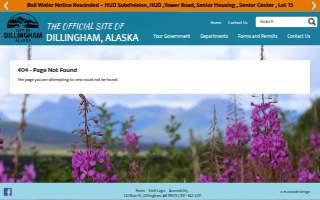 City of Dillingham Alaska Animal Shelter website