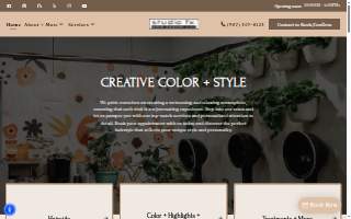 Studio FX Hair Design LLC website