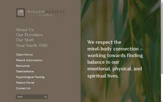 Willow Medical And Wellness website