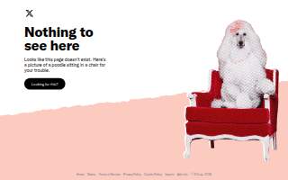 Arctic Paws Pet Grooming website