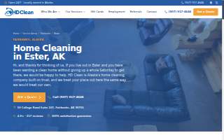 HD Clean website