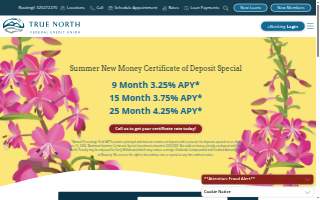True North Federal Credit Union website