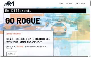 Rogue Marketing of Glennallen website