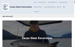 Carpe Diem Excursions website