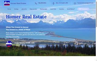 Homer Real Estate Associates website