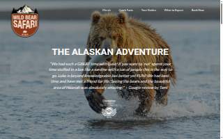 Wild Bear Safari website