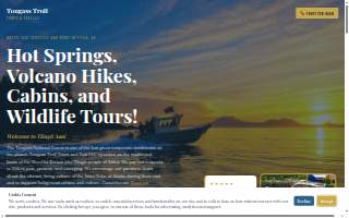 Tongass Troll, Tours & Taxi LLC. website