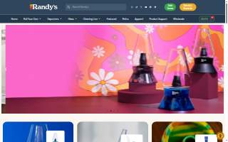 Randys Window Tinting website