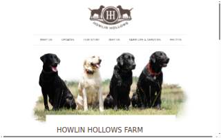 Howlin Hollows Farm website