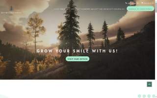 Southern Pine Dental website