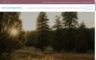 Dover Counseling Services website