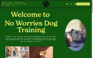 No Worries Dog Training of Helena website