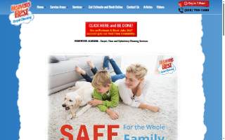Heaven's Best Carpet & Rug Cleaners website