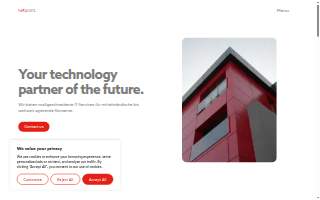 Netpoint IT Services Inc website