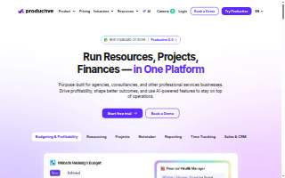 Productive I.T., L.L.C. website