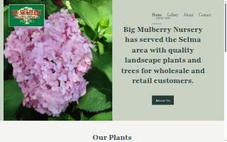 Big Mulberry Nursery & Landscape website