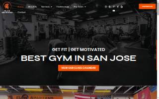 Spartan Men’s Elite Health website