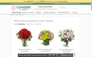 Congo Dental Studio website