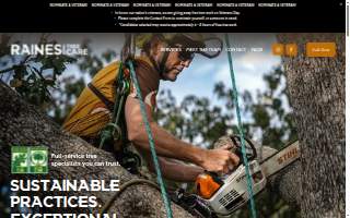 Raines Tree Care of Centerton website