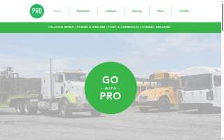 Pro Auto Conway website