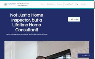 Healthy Home and Mold Inspections website