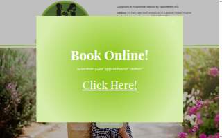 Hollingsworth Chiropractic & Acupuncture website