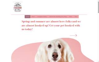 Pinnacle Pet Lodge of Little Rock website