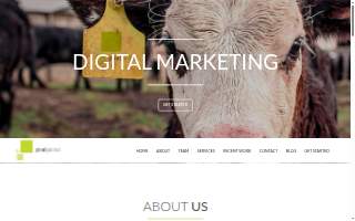 Pixel Perfect Creative of Maumelle website