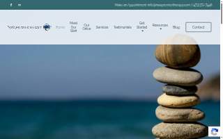NWA Premier Therapy website