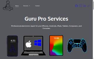Guru Pro Services website